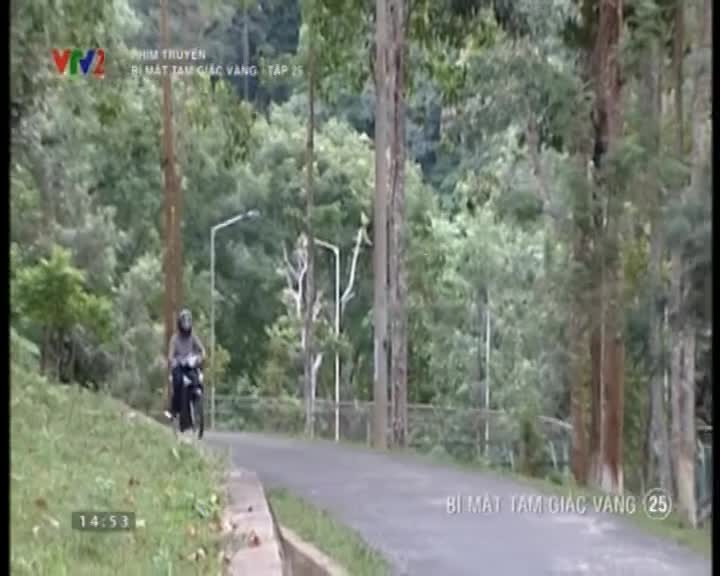 Phim Truyện Bi Mật Tam Giac Vang Tập 25 Video đa Phat Tren Vtv Vn