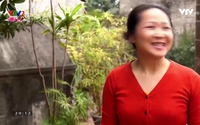 Vui khỏe 24/7: Uống nhiều nước có ga và những ảnh hưởng đến sức khỏe! Vui khỏe 24/7: Uống nhiều nước có ga và những ảnh hưởng đến sức khỏe!