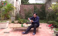 Vui khỏe 24/7: Rối loạn tiêu hóa nên điều trị sao cho hiệu quả? Vui khỏe 24/7: Rối loạn tiêu hóa nên điều trị sao cho hiệu quả?