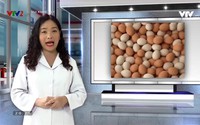Vui khỏe 24/7: Cho trứng vào tủ lạnh bảo quản có nên rửa sạch? Vui khỏe 24/7: Cho trứng vào tủ lạnh bảo quản có nên rửa sạch?