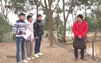 Vui khỏe 24/7 - 19/3/2020 Vui khỏe 24/7 - 19/3/2020