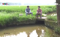 Vui khỏe 24/7 - 11/6/2020 Vui khỏe 24/7 - 11/6/2020