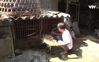 Vui khỏe 24/7 - 23/7/2020 Vui khỏe 24/7 - 23/7/2020