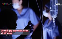 Vui khỏe 24/7 - 07/8/2020 Vui khỏe 24/7 - 07/8/2020
