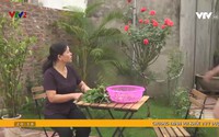 Vui khỏe 24/7 (2021) - Tập 56 Vui khỏe 24/7 (2021) - Tập 56