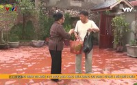 Vui khỏe 24/7 (2021) - Tập 75 Vui khỏe 24/7 (2021) - Tập 75