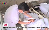 Gia tăng bệnh nhân bị rắn cắn