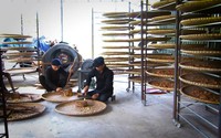 Đã tìm ra bài thuốc chữa viêm đại tràng đạt tỷ lệ khỏi 76%
