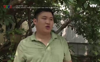 Vui khỏe 24/7: Uống nhiều trà sữa có gây hại cho sức khỏe? Vui khỏe 24/7: Uống nhiều trà sữa có gây hại cho sức khỏe?
