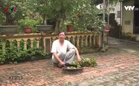 Vui khỏe 24/7: Dấu hiệu nhận biết bị hạ đường huyết Vui khỏe 24/7: Dấu hiệu nhận biết bị hạ đường huyết