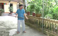 Vui khỏe 24/7: Mất ngủ gây ảnh hưởng đến sức khỏe như thế nào? Vui khỏe 24/7: Mất ngủ gây ảnh hưởng đến sức khỏe như thế nào?