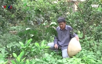 Vui khỏe 24/7:Thường xuyên nghiến răng có gây ảnh hưởng đến sức khỏe? Vui khỏe 24/7:Thường xuyên nghiến răng có gây ảnh hưởng đến sức khỏe?
