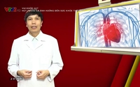 Vui khỏe 24/7: Hút thuốc lá ảnh hưởng đến sức khỏe thế nào? Vui khỏe 24/7: Hút thuốc lá ảnh hưởng đến sức khỏe thế nào?