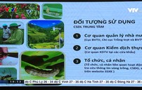 Siết chặt trấn áp mã số vùng trồng