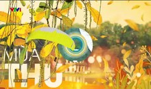 Bản tin thời tiết 19h45 - 28/5/2023