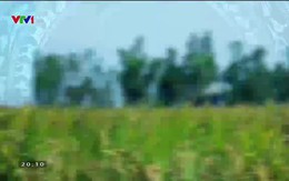 Quốc gia khởi nghiệp - 25/10/2019