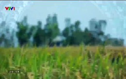 Quốc gia khởi nghiệp - 04/10/2019