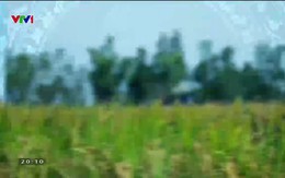 Quốc gia khởi nghiệp - 01/11/2019