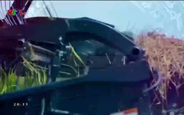 Quốc gia khởi nghiệp - 26/4/2019