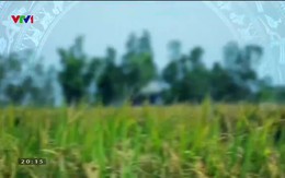 Quốc gia khởi nghiệp - 24/5/2019