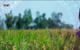 Quốc gia khởi nghiệp - 14/6/2019