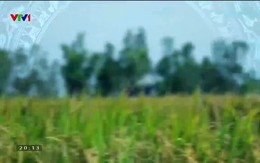 Quốc gia khởi nghiệp - 12/7/2019