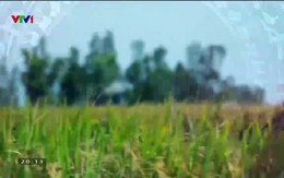 Quốc gia khởi nghiệp - 16/8/2019