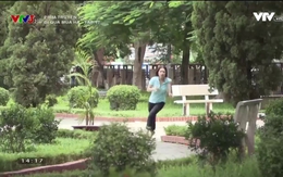 Phim Rubic 8: Đi qua mùa hạ - Tập 17