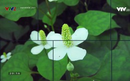 [Đã cắt] Vui khỏe 24/7 - 29/01/2020