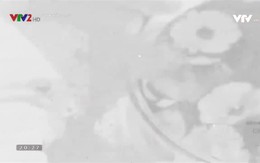 [Đã cắt] Vui khỏe 24/7 - 17/4/2020