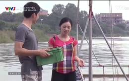 Phim Rubic 8: Đi qua mùa hạ - Tập 25