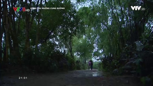 Đằng sau những cung đường - 28/11/2017