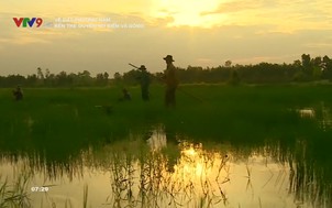 Về đất phương Nam: Bến Tre duyên nợ biển và sông