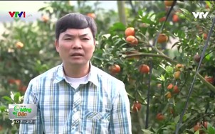 Tôi là nông dân (7h25) - 28/12/2018