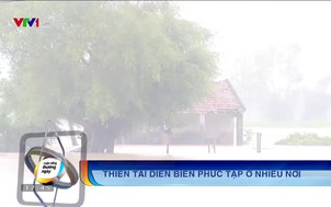 Cuộc sống thường ngày - 30/12/2018