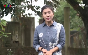 Tâm sáng vươn xa: Xế chiều lận đận