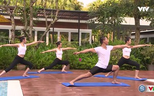 Tư vấn Yoga - Số 9: Tư thế bạch hạc số 2
