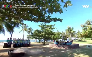 Cùng ngư dân vươn khơi: Đa dạng sinh kế cho ngư dân vùng biển