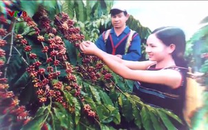Miền Trung - Tây Nguyên 24/7 - 16/3/2019