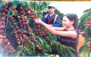 Miền Trung - Tây Nguyên 24/7 - 02/3/2019