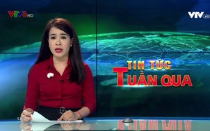 Miền Trung - Tây Nguyên 24/7 - 23/3/2019