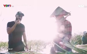 Khám phá phương Nam: Trải nghiệm hương vị bồn bồn