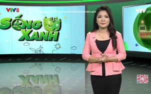 Sống Xanh: Di tích Huế đa dạng các dịch vụ thu hút khách du lich