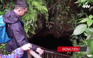 Đi đâu ? ăn gì ?: Thung Nham - Xứ sở các loài chim