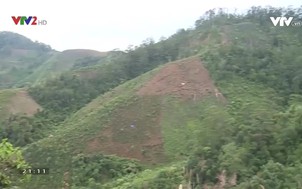 Chất lượng quốc gia: Giữ màu xanh cho vùng Tây Nguyên