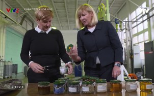 Chân trời khoa học 2020 - Số 5