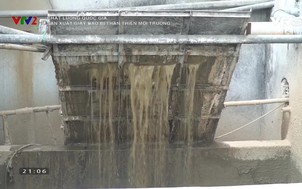 Chất lượng quốc gia: Sản xuất giấy bao bì thân thiện môi trường