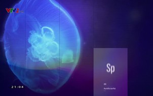 Chân trời khoa học 2020 - Số 7