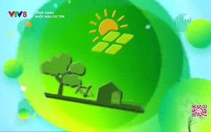 Sống Xanh: Nhồi máu cơ tim