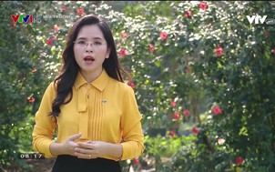 Môi trường: Chủ động ứng phó xâm nhập mặn